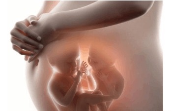 怀孕期间孕母亲的身领会呈现纷歧样程度的妊娠反响