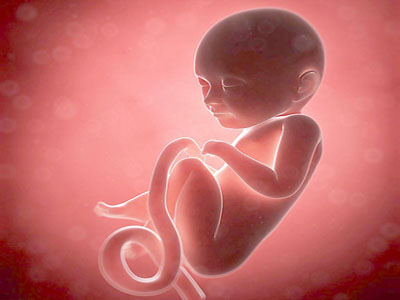 孕晚期胎动频繁生男孩