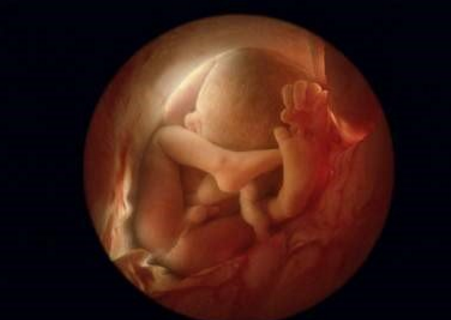 检测胎儿性别的方法	