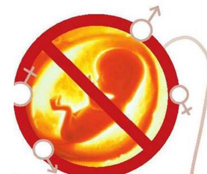 禁止胎儿性别鉴定制度