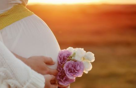 体外受精的怀孕几率是多少.png
