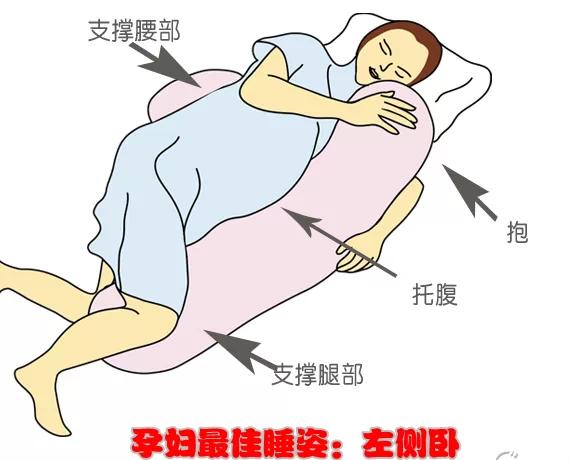 孕中期孕妇睡姿正确图图片