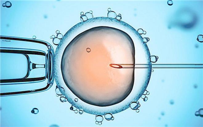 染色体疾病胎儿怀孕早期有什么反应吗.jpg
