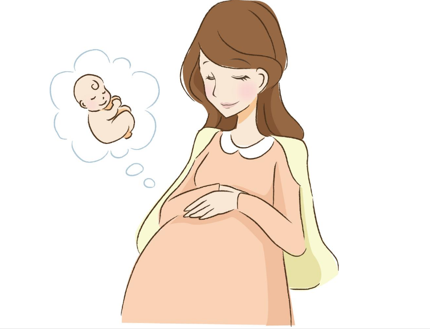 女人怀孕初期应注意什么事项？怀孕初期饮食禁忌有哪些？.png