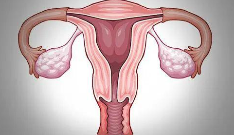 女性妇科疾病有哪些？怀孕有妇科疾病影响胎儿吗？.png