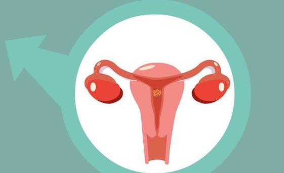 卵巢早衰怀孕的征兆有哪些.jpg