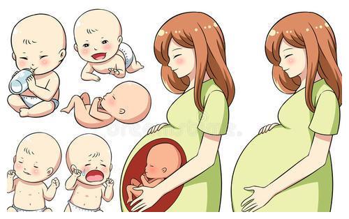 怀孕周期卡通图片