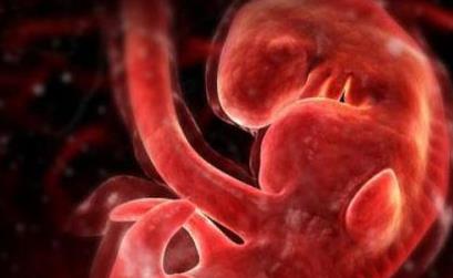 怀孕三个月胎儿有多大?会缺氧吗?