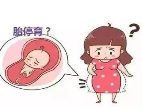 孕十周胎停症状有哪些.jpg