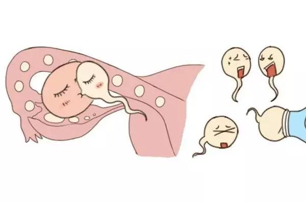 输卵管造影检查后多久可以怀孕.jpg