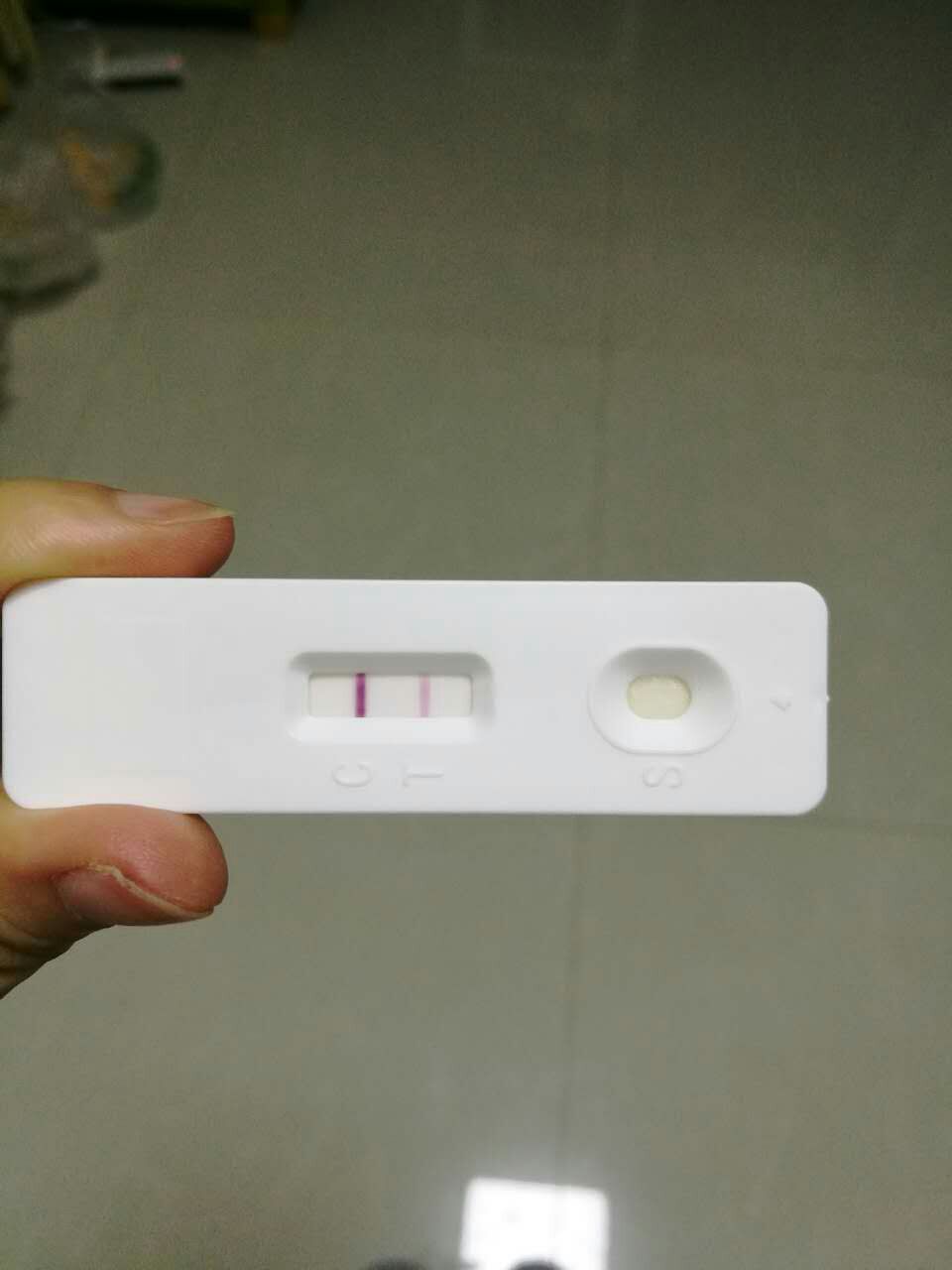 尿液检查阴性是否怀孕.jpg