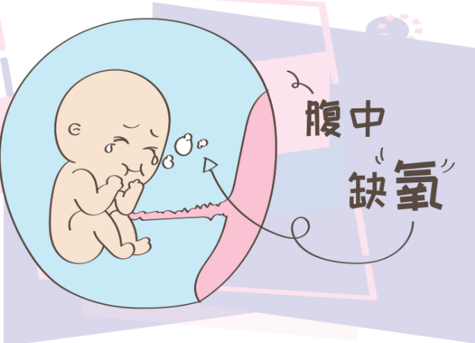 胎儿多少周后容易缺氧