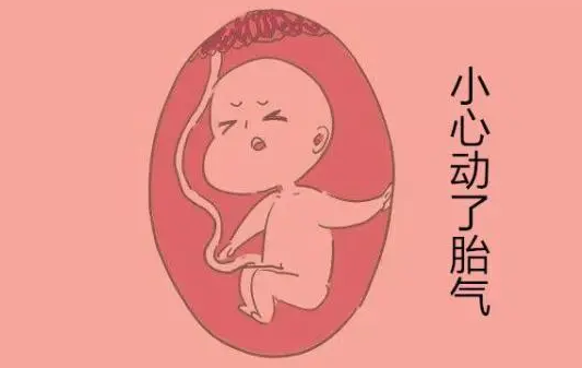 怀孕五个月胎动在肚脐下方正常吗.png