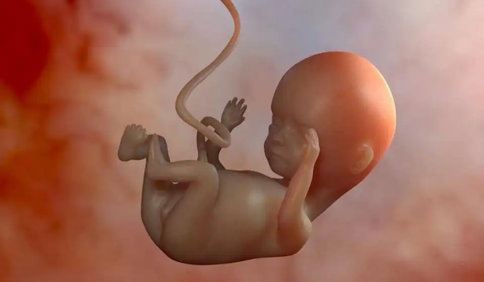 唐氏胎儿在母体的征兆.jpg