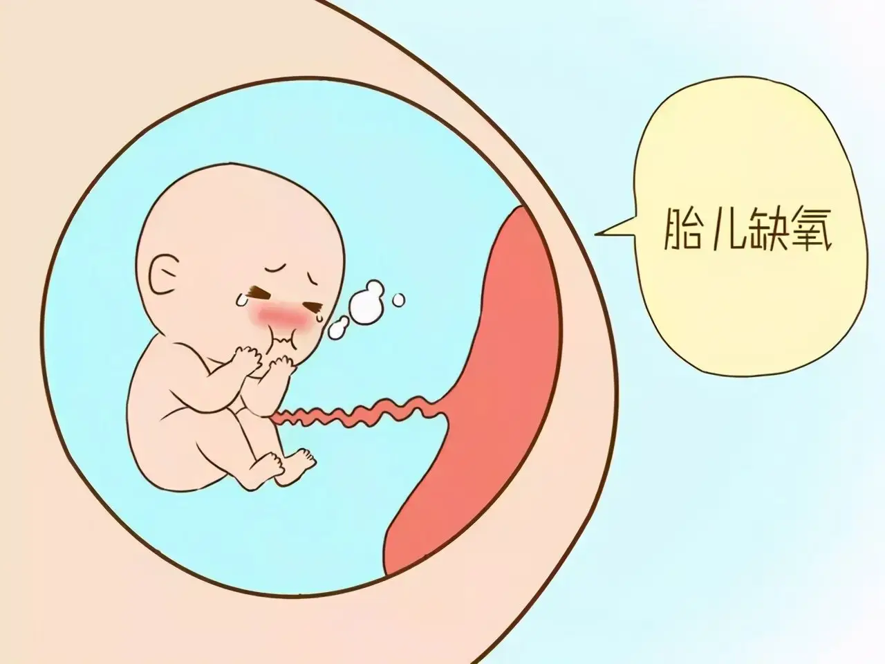 胎儿多少周后容易缺氧.jpg