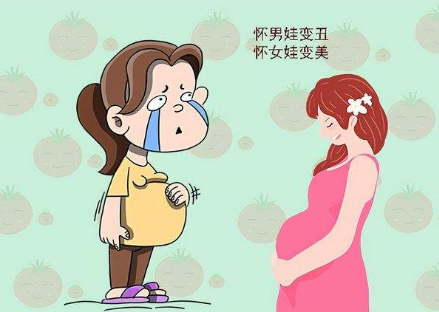 孕期反应怎么判断怀的是男孩女孩.png