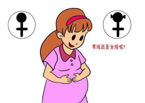 孕早期如何辨别宝宝性别.png