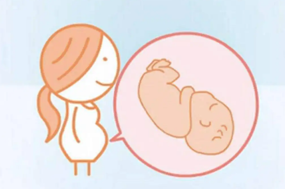 如何辨别胎儿性别.png