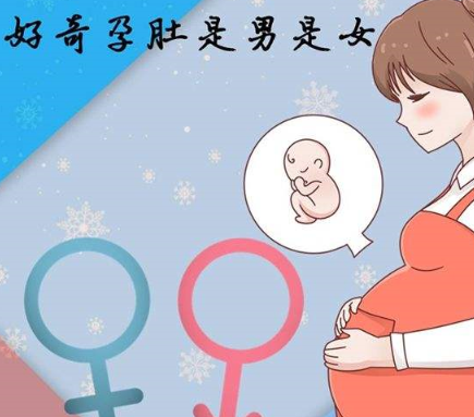 怀孕辨别男女最科学的方法.png