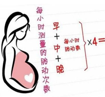 怀孕时候怎么知道男女, 怀孕了预产期是什么时候.png
