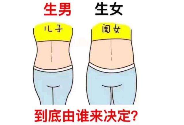 香港测性别要多少钱, 不花钱的测胎儿性别方法有哪些.jpg