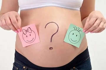 孕囊和性别有什么关系,还有哪些办法可以判断男女.jpg