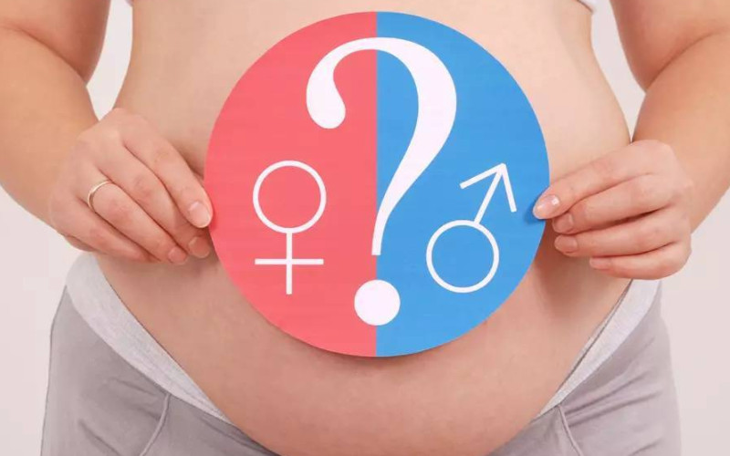 怀孕后如何判断胎儿性别？.jpg