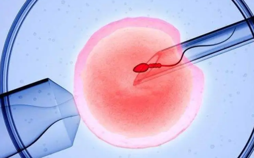 胚胎移植的时候知道性别吗.png
