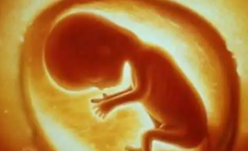 几个月可以查出胎儿性别最早.png