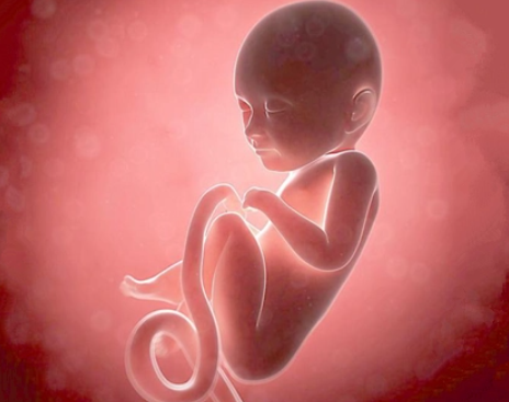 胎儿查性别的方法有哪些.png