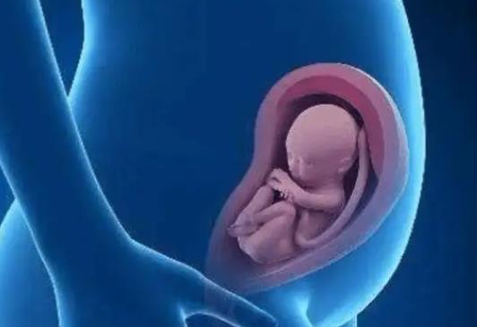 试管胚胎怎么分辨性别？哪些方式能鉴别试管婴儿性别？.jpg