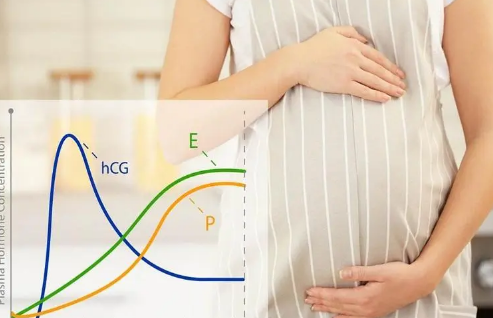 孕早期hcg值增长的最大值看男女.png