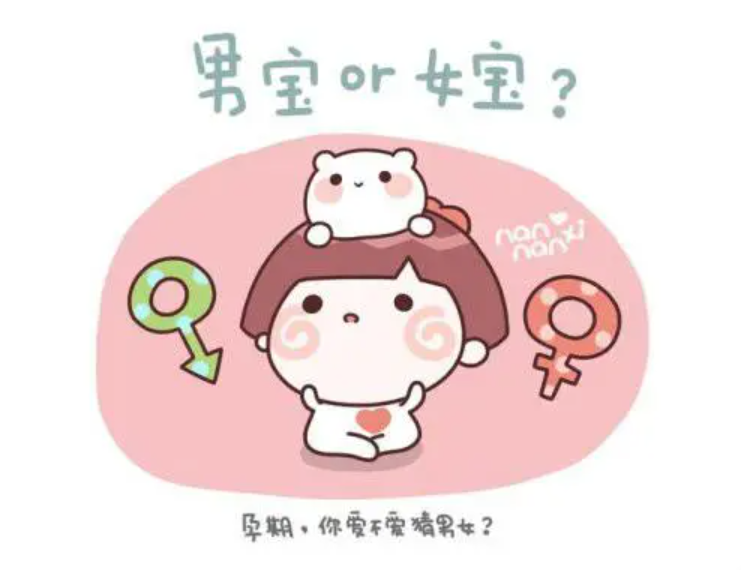 算数算男女准吗.png