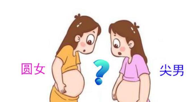 小孩可以看出肚子里是男宝还是女宝吗？如何看男宝女宝更准？.jpg