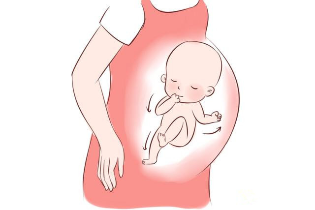 胎儿心跳多少就是男孩.jpg