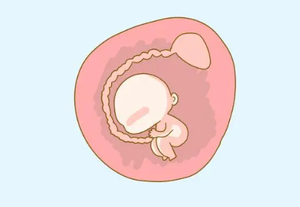怀孕节气与胎儿性别的关系.png