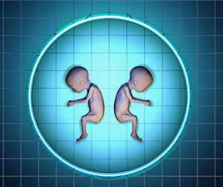 怀孕身体气质与胎儿性别的联系.png