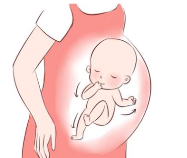 怀孕胎儿性别与遗传因素的关系.png