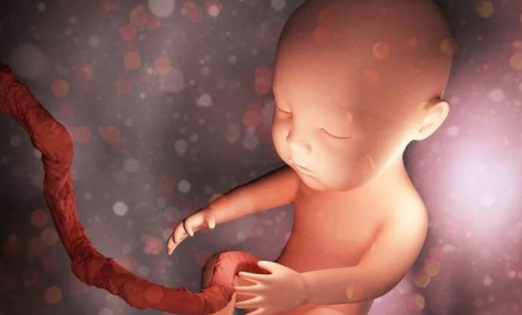 怀孕胎心率与胎儿性别的关系.png