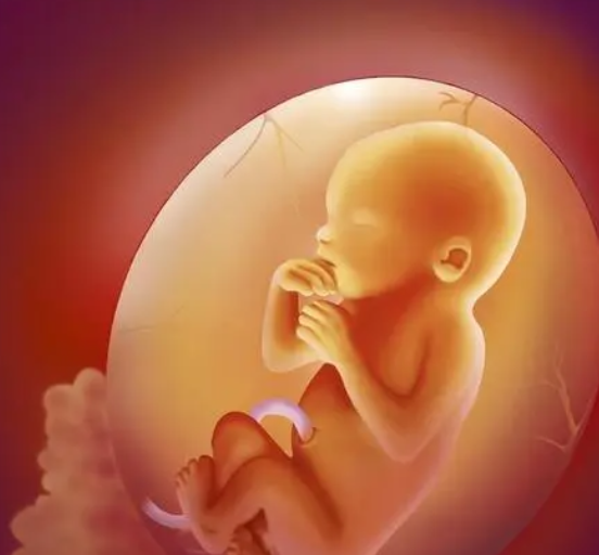 怀孕晚期男孩女孩的胎儿牙齿生长表现.png