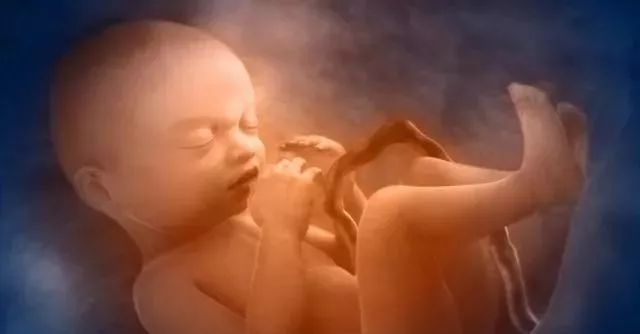 胎儿性别是怎么形成的,怀孕长得像男孩的现象是为什么呢.jpg