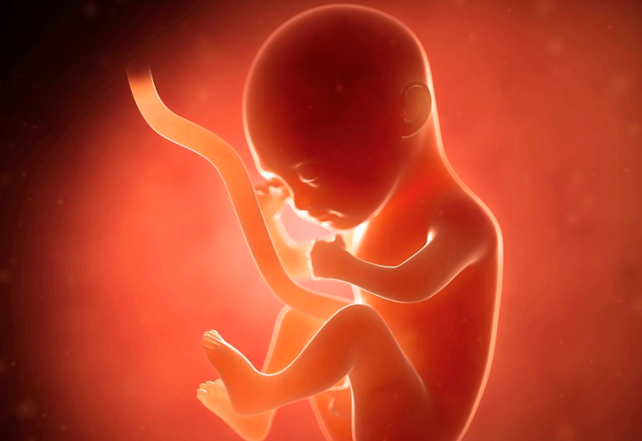 怀女宝时胎动是否受月份影响而变化.png