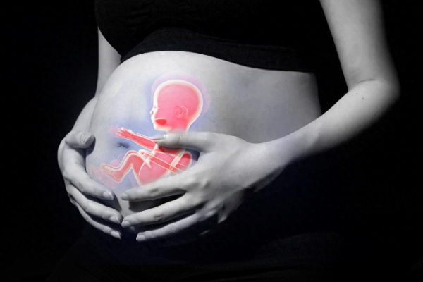 怀孕胎心率可以知道男女吗？准确判断胎儿性别的方法有哪些？.png