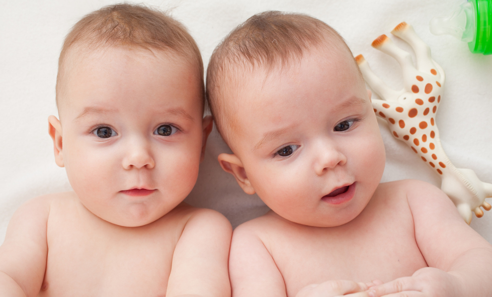 双胞胎性别是由什么决定的？生双胞胎女孩备孕前应该做什么准备？.jpg