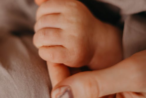 怀孕四个月如何判断胎儿性别.png