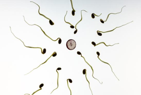 多囊卵巢能怀上孩子吗.png