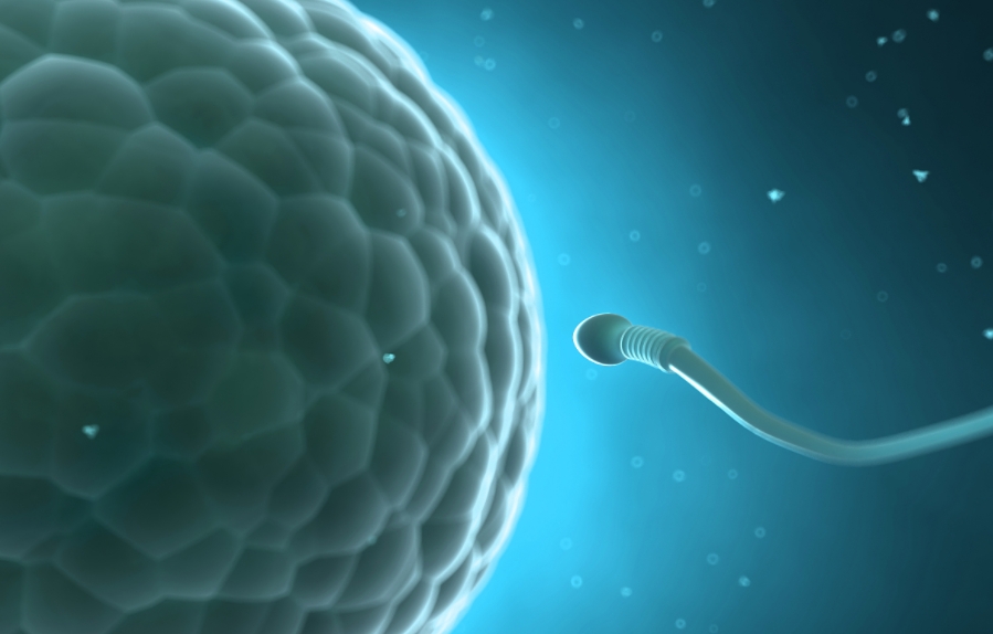 ﻿精子成活率45%能受孕吗.png