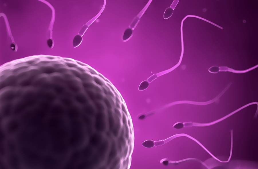 精子在女性体内能存活10天是什么原因.png
