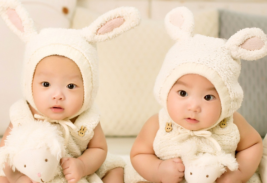 双胞胎是母系遗传规律吗.jpg