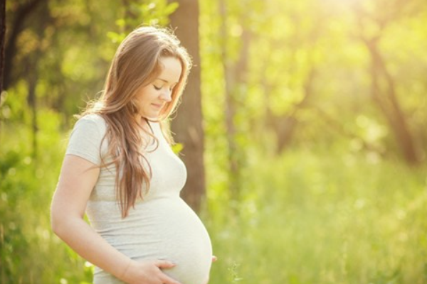 孕初期怎样知道胎儿性别？.png